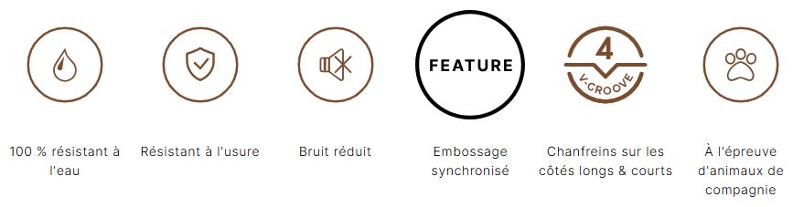 Caractéristiques coretec Essentials texas H86